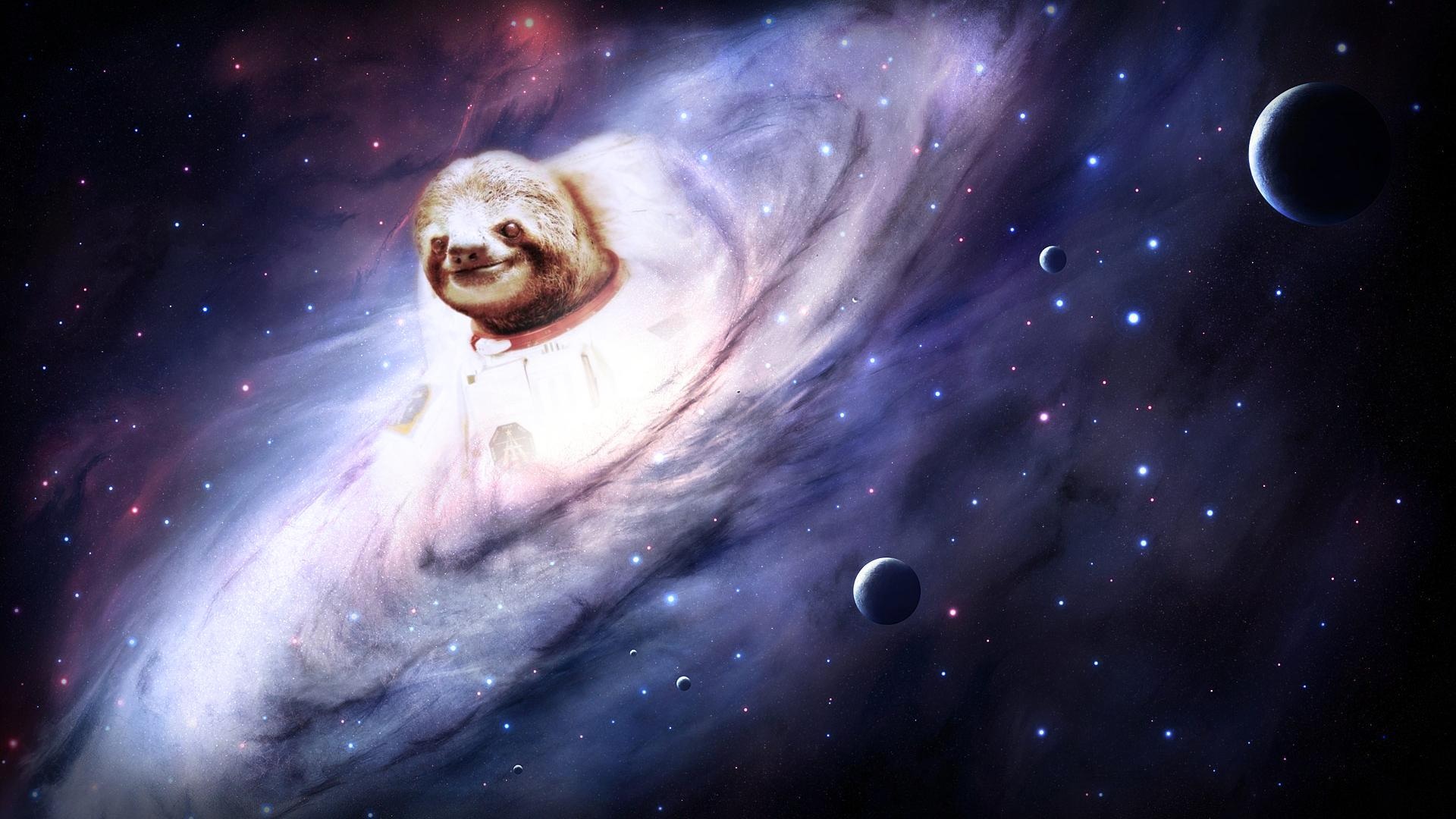 Detail Astronaut Sloth Meme Nomer 30