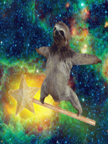 Detail Astronaut Sloth Meme Nomer 31