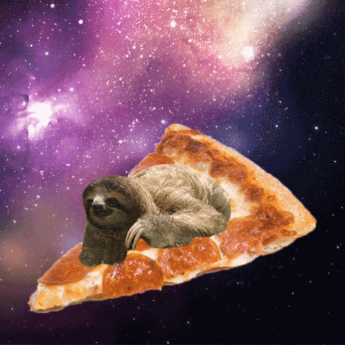 Detail Astronaut Sloth Meme Nomer 32