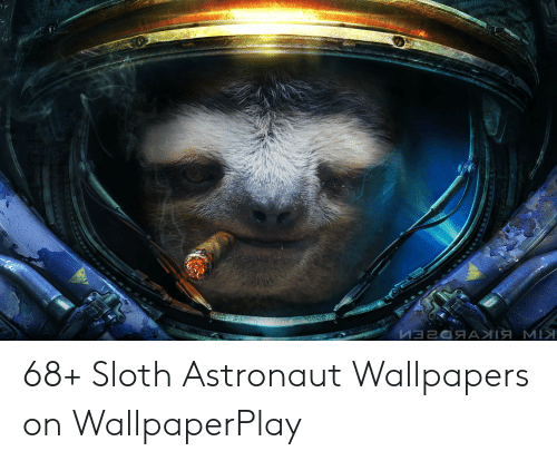 Detail Astronaut Sloth Meme Nomer 35
