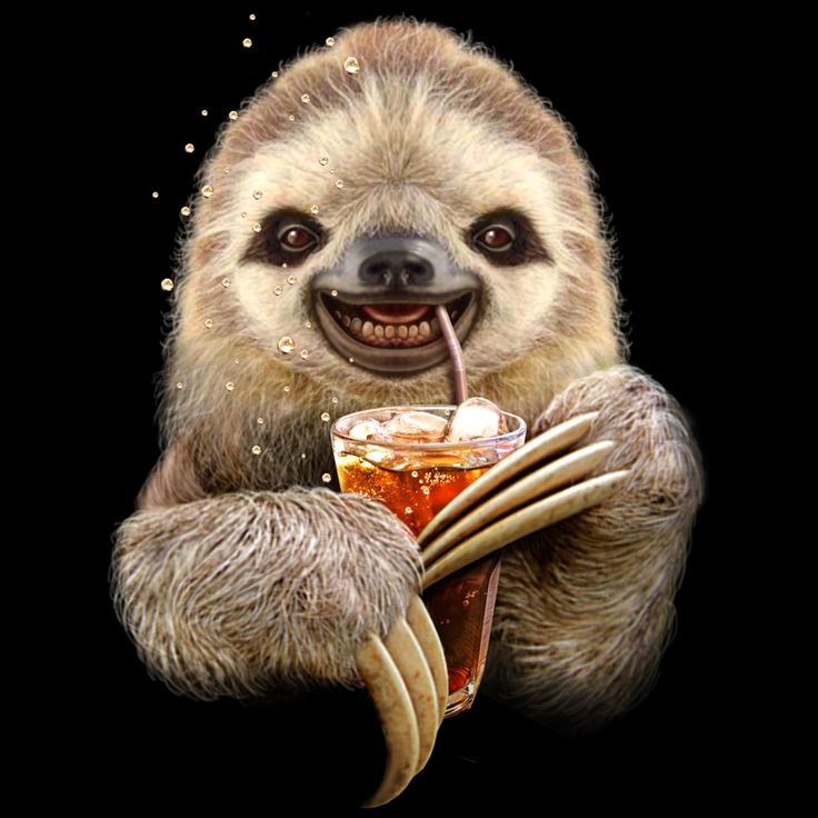 Detail Astronaut Sloth Meme Nomer 37
