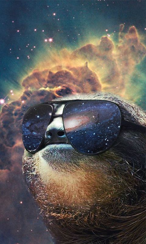 Detail Astronaut Sloth Meme Nomer 38