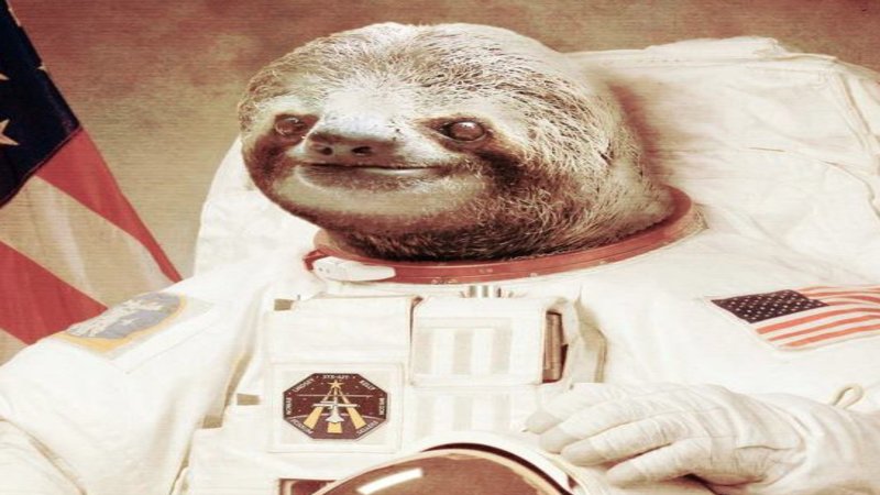 Detail Astronaut Sloth Meme Nomer 5