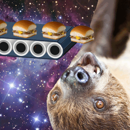 Detail Astronaut Sloth Meme Nomer 40