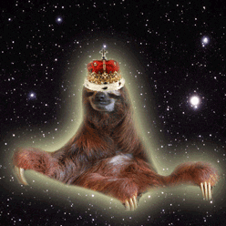 Detail Astronaut Sloth Meme Nomer 41
