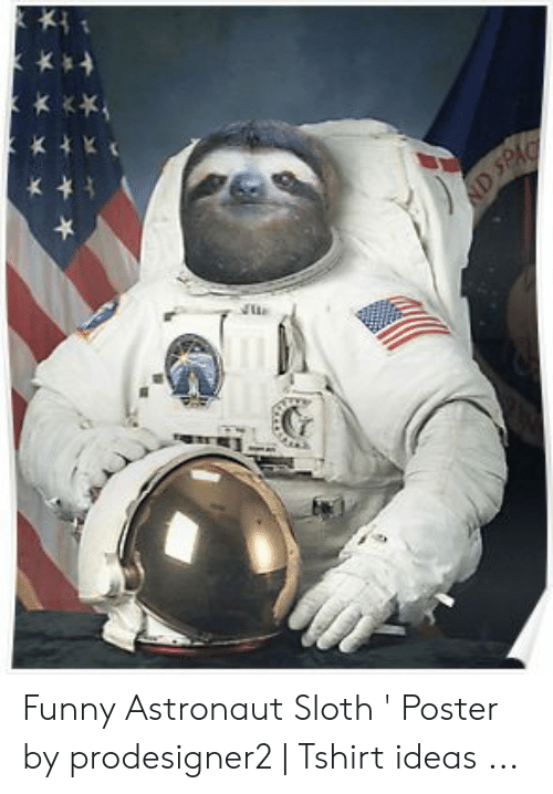 Detail Astronaut Sloth Meme Nomer 44