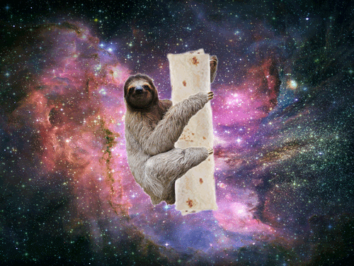 Detail Astronaut Sloth Meme Nomer 45