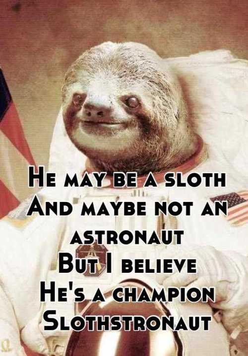 Detail Astronaut Sloth Meme Nomer 6