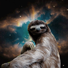 Detail Astronaut Sloth Meme Nomer 49