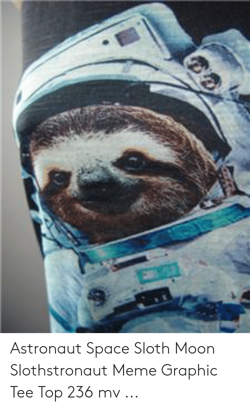 Detail Astronaut Sloth Meme Nomer 50