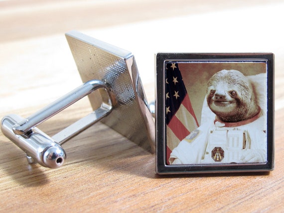 Detail Astronaut Sloth Meme Nomer 52