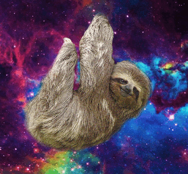 Detail Astronaut Sloth Meme Nomer 54