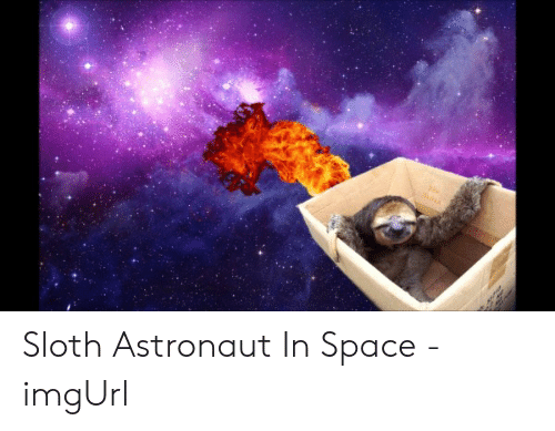 Detail Astronaut Sloth Meme Nomer 56