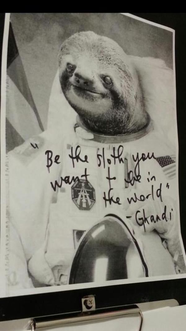Detail Astronaut Sloth Meme Nomer 7