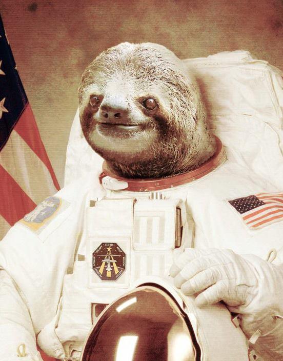 Detail Astronaut Sloth Wallpaper Nomer 3