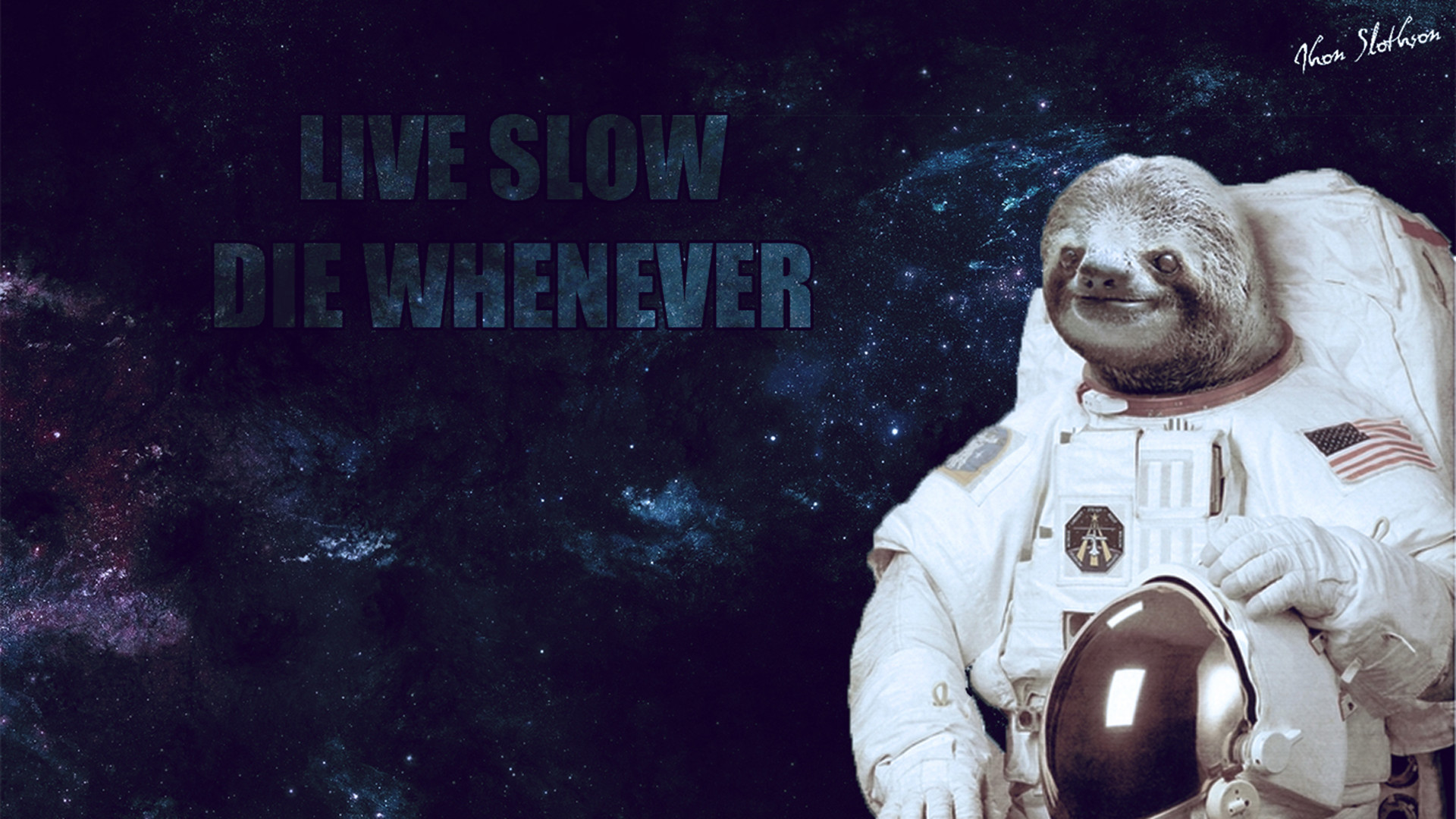 Detail Astronaut Sloth Wallpaper Nomer 24