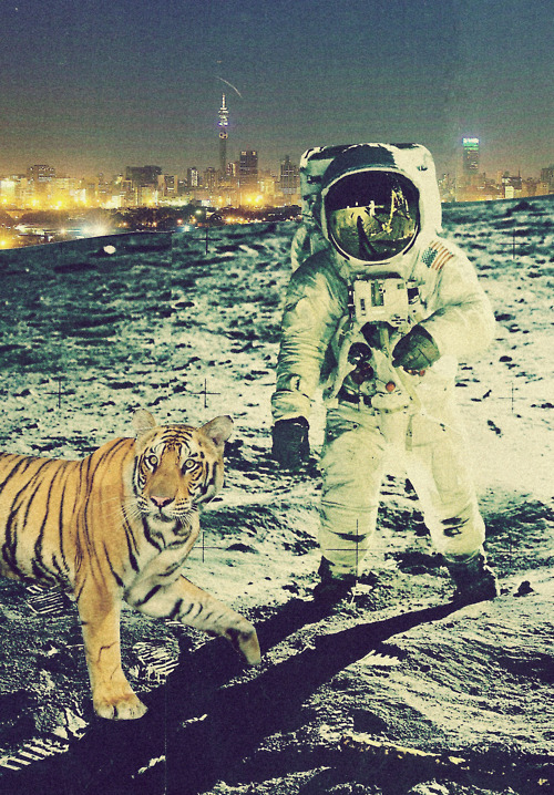 Detail Astronaut Wallpaper Tumblr Nomer 56