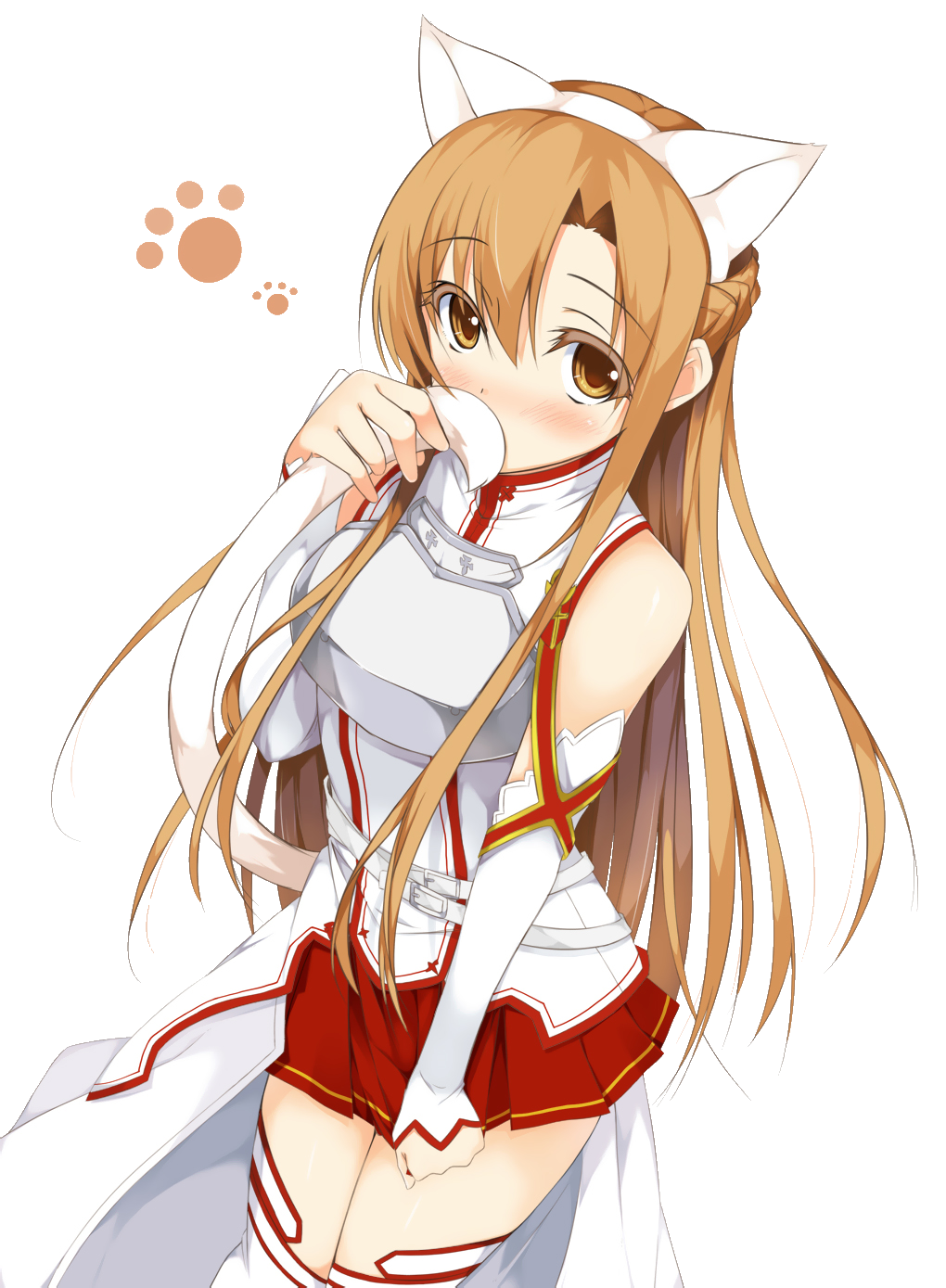 Detail Asuna Png Nomer 28