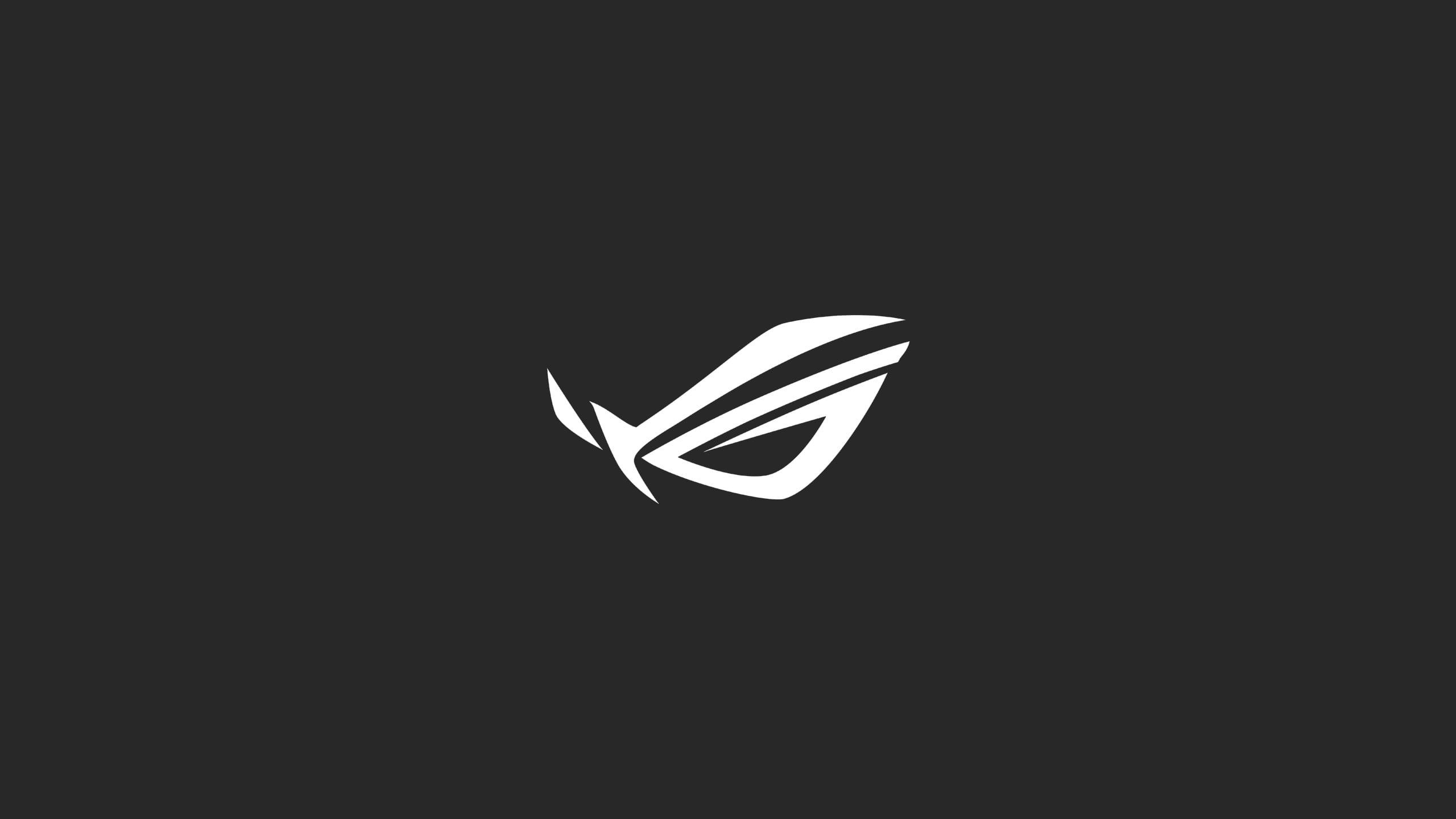 Detail Asus Republic Of Gamers Logo Nomer 26