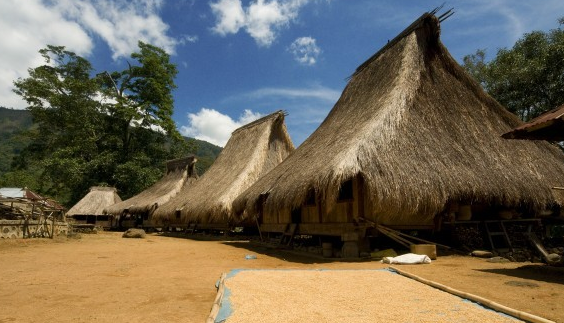Detail Atap Genteng Tanah Liat Tradisional Nomer 36