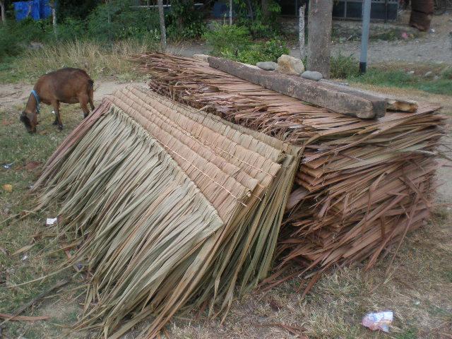 Detail Atap Rumah Dari Daun Nomer 14