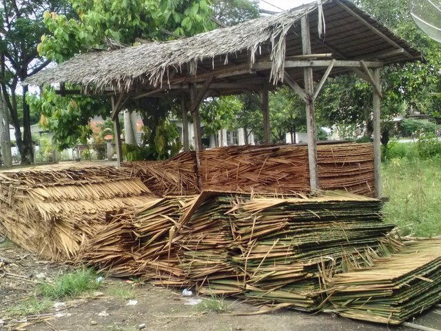 Detail Atap Rumah Dari Daun Nomer 16