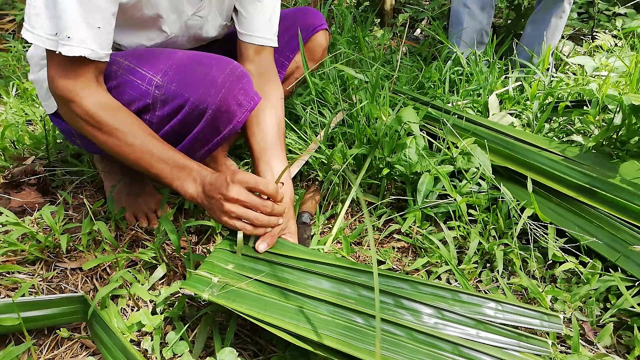 Detail Atap Rumah Dari Daun Nomer 35