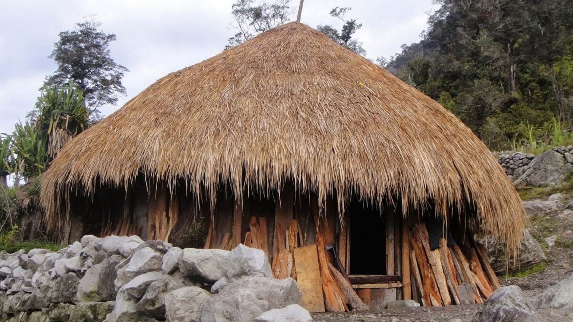 Detail Atap Rumah Honai Terbuat Dari Nomer 2