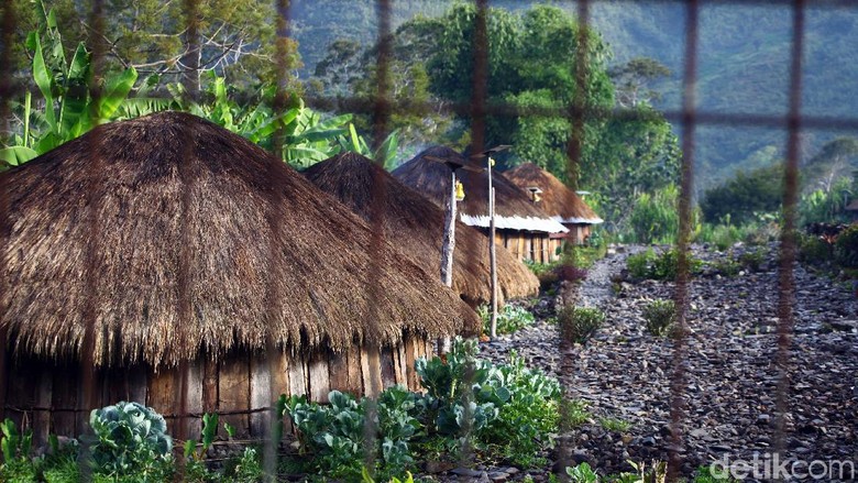 Detail Atap Rumah Honai Terbuat Dari Nomer 41