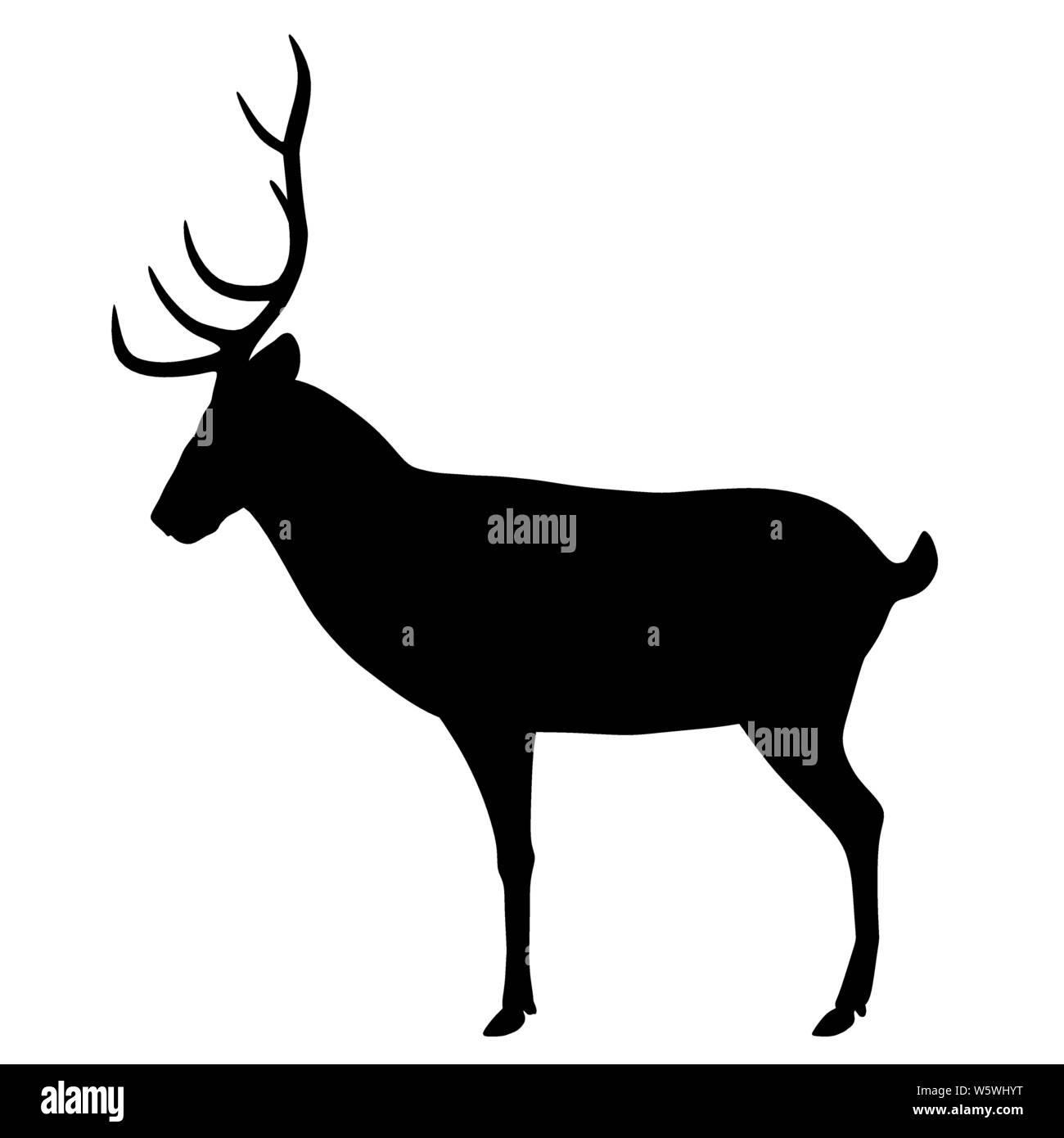 Detail Bucks Background Nomer 20