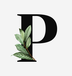 Detail Chestnut Botanical Illustration Nomer 25