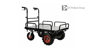 Detail Elektrischer Plattformwagen Nomer 23