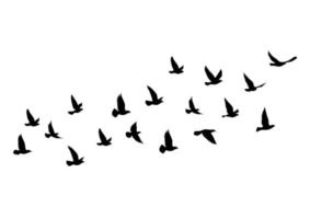 Fliegender Vogel Silhouette - KibrisPDR