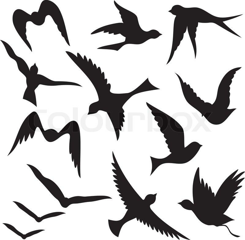 Detail Fliegender Vogel Silhouette Nomer 2