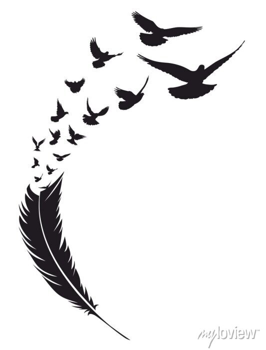 Detail Fliegender Vogel Silhouette Nomer 18