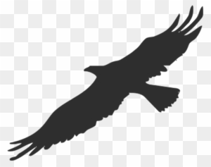Detail Fliegender Vogel Silhouette Nomer 20