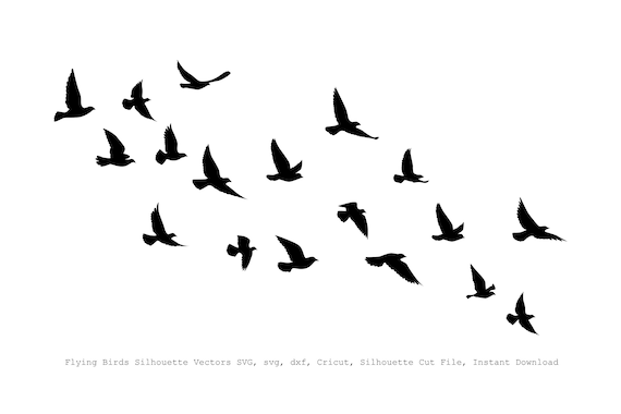 Detail Fliegender Vogel Silhouette Nomer 5