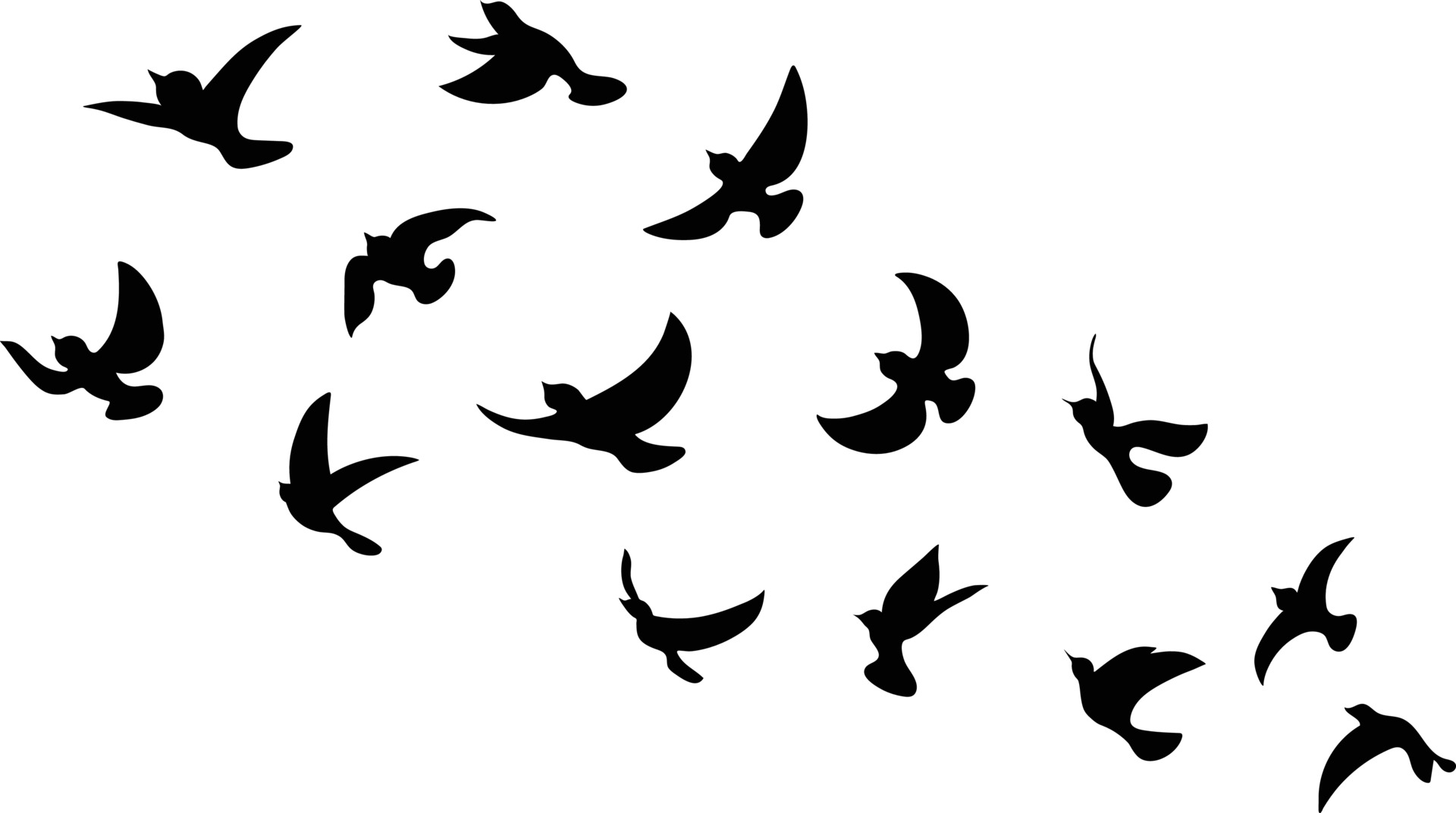 Detail Fliegender Vogel Silhouette Nomer 6