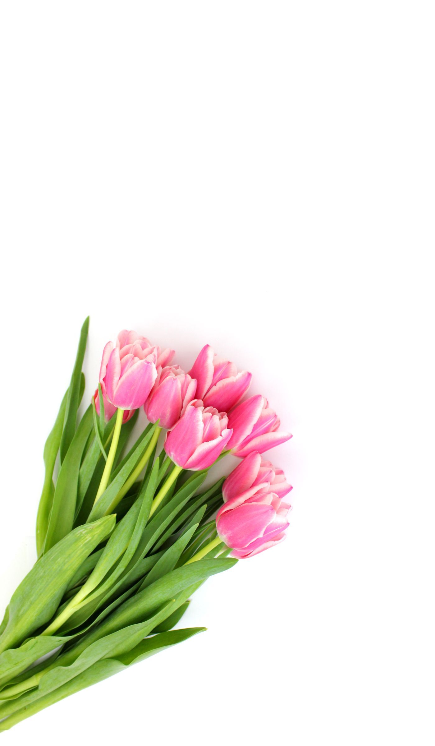 Detail Handy Hintergrund Blumen Nomer 3