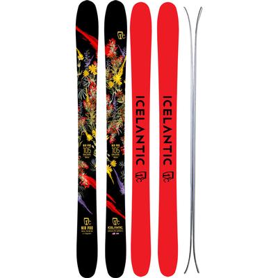 Detail Twin Tip Ski Nomer 2