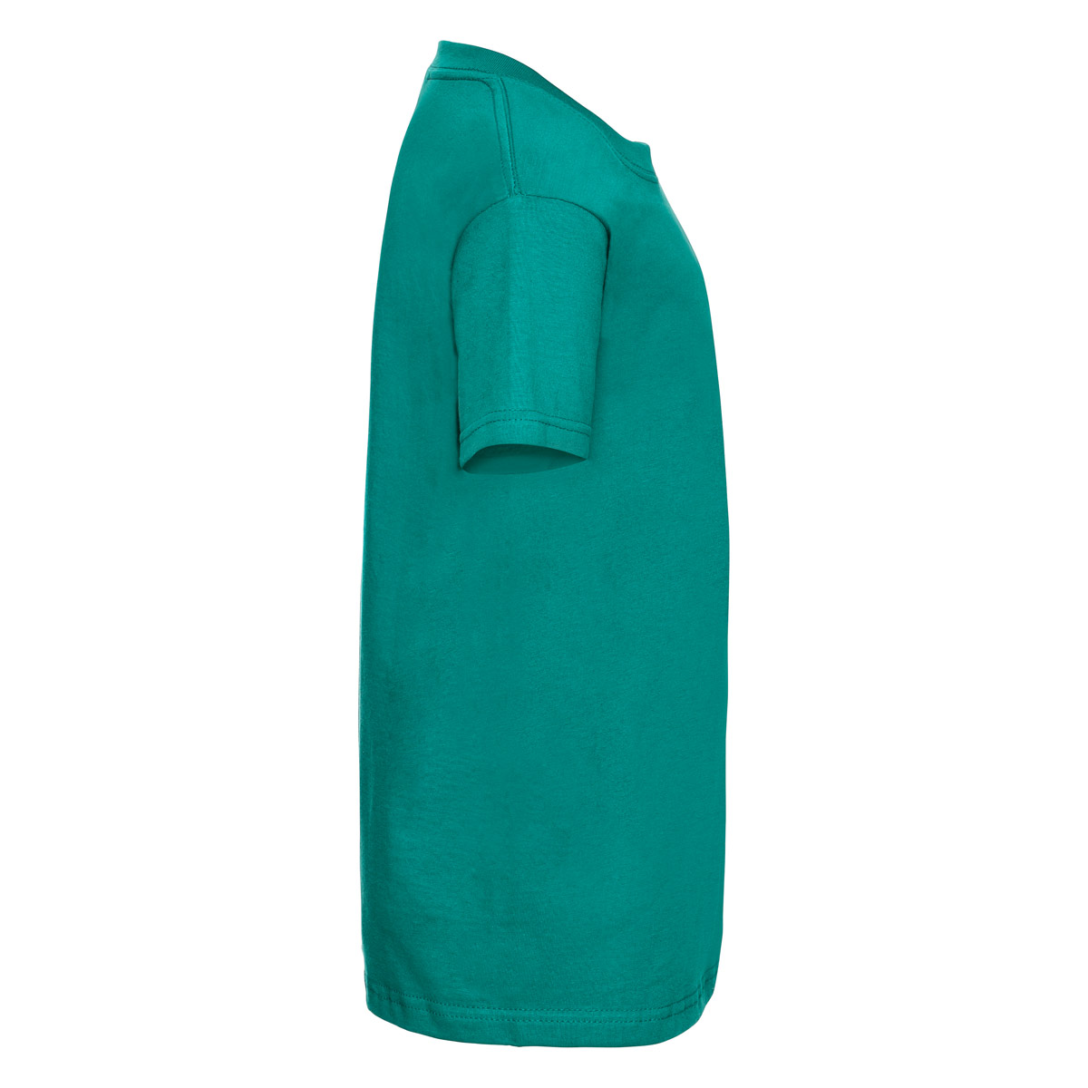 Detail Winter Emerald Nomer 13