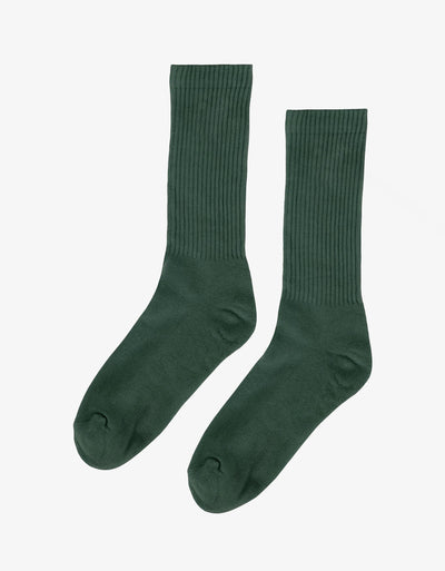 Detail Winter Emerald Nomer 17