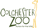 Colchester Zoo Google Maps - KibrisPDR