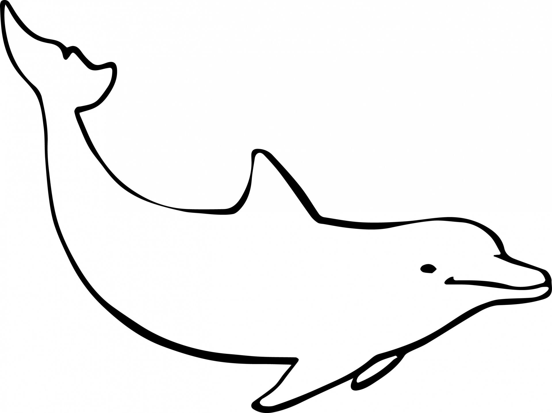 Detail Delfin Zentangle Nomer 16