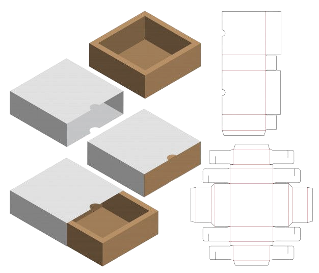 Detail Desain Packaging Box Nomer 10