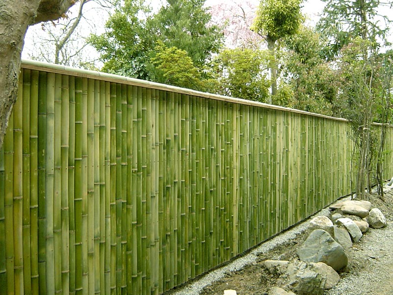 Detail Desain Pagar Bambu Minimalis Nomer 19