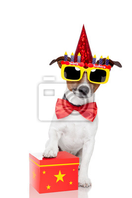 Detail Geburtstag Hund Nomer 9