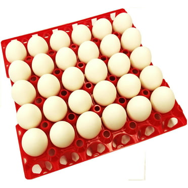 Detail Hartmann Egg Tray Nomer 8