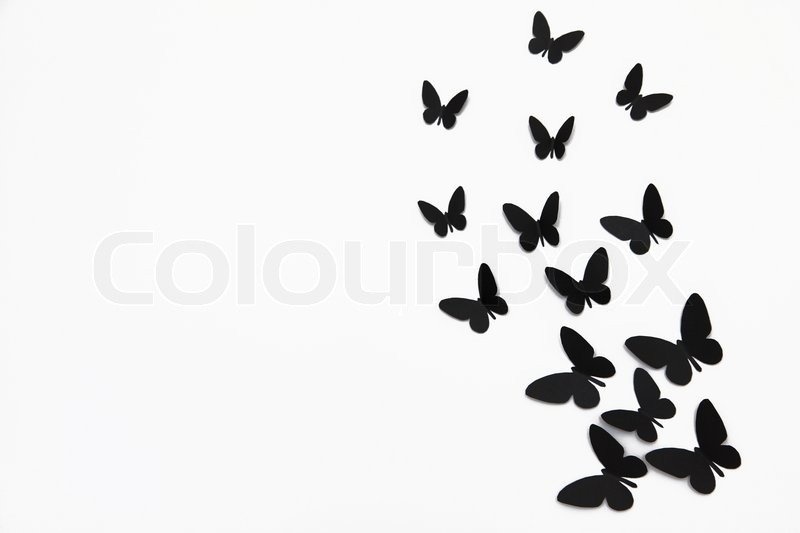 Detail Schmetterling Hintergrund Nomer 24