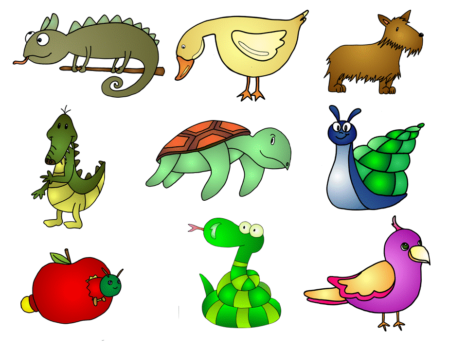 Detail Zootiere Clipart Nomer 21